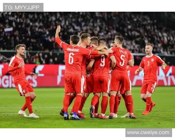 塞尔维亚与瑞士上半场激战回顾球员表现与战术分析