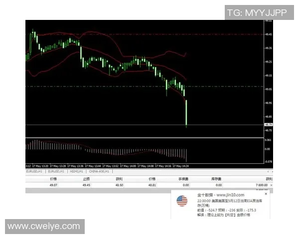 头箭与活塞精彩对决视频直播全程回顾与分析