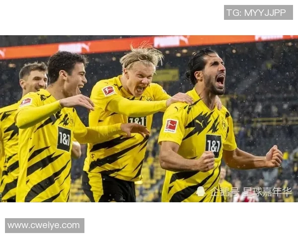 布拉迪与米尔萨对决全方位分析及比赛前瞻解读