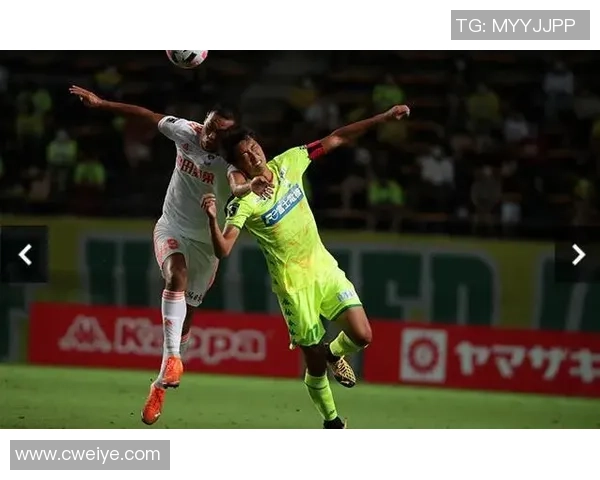 德岛旋涡与金泽的魅力碰撞探索两地文化与自然之美