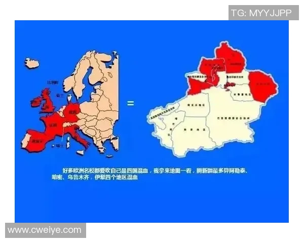 新疆与广东总决赛精彩数据对比分析揭示比赛背后的秘密与亮点