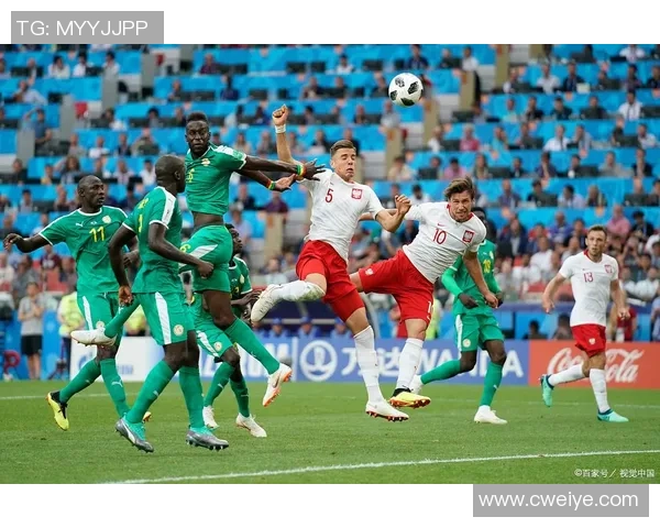 马里迪与普罗夫的精彩对决分析及赛前预测展望