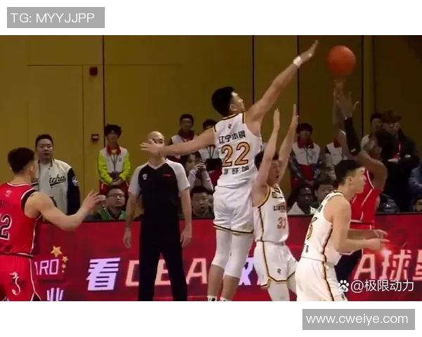 CBA辽宁队与深圳队激战精彩比分揭晓赛季对决引发热议