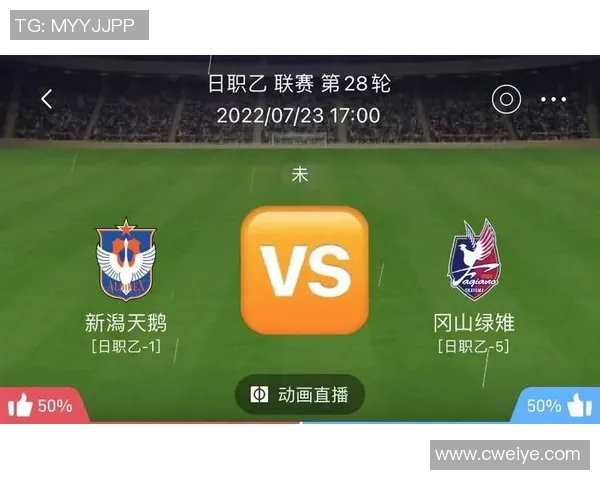 伊朗男篮对阵中国队前瞻分析双方实力对比及比赛看点解析