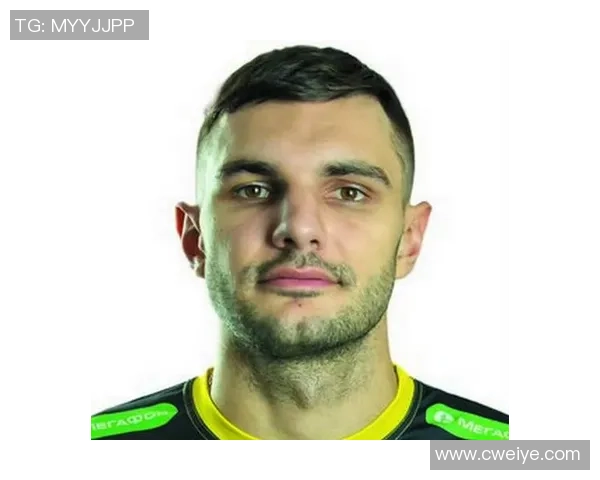 伊朗与俄罗斯男排精彩对决直播全程回顾与分析