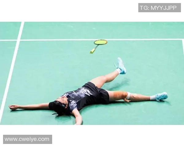 王敏谈羽毛球生涯：从青涩小将到世界冠军的成长之路