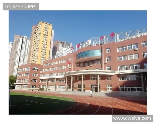 许钟豪的奋斗历程与人生哲学：从平凡到卓越的成长之路