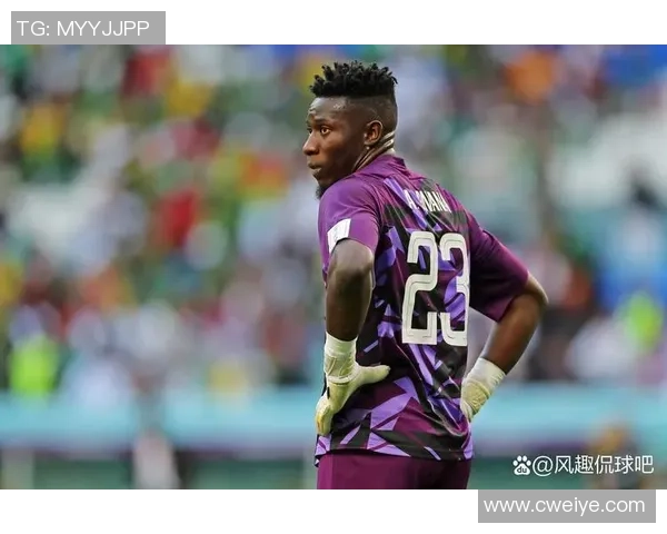 贝宁与喀麦隆激战正酣比赛结果揭晓引发热议