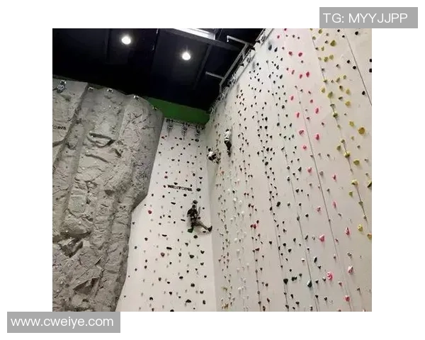 重庆极限运动队的中路突破与挑战深度解析