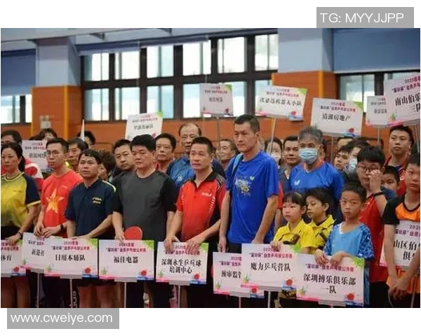 乒乓球战术解析与西安乒乓球队运营体系的创新探索 乒乓球战术解析与西安乒乓球队运营体系的创新探索